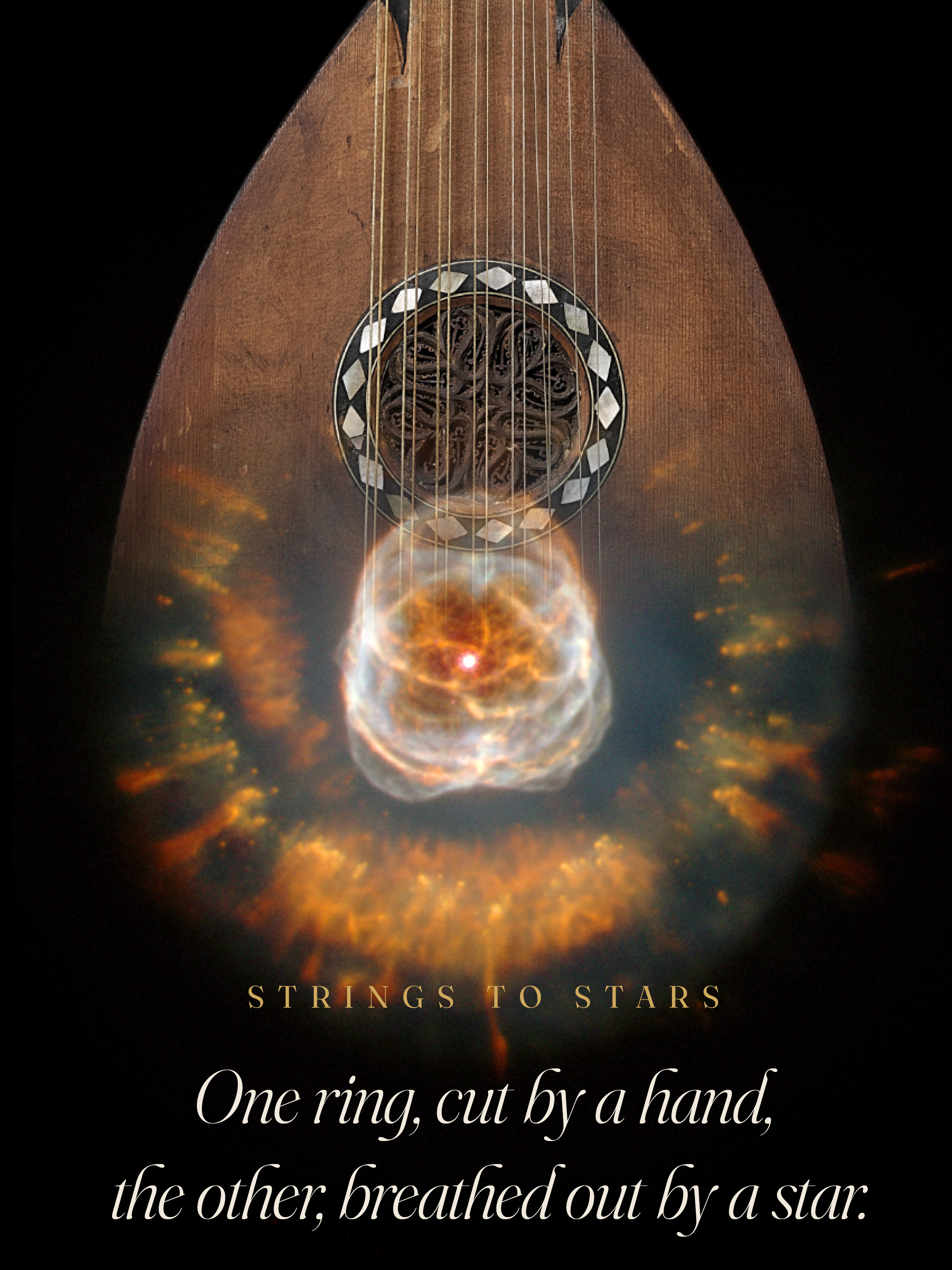 Documentary photograph of Mohammad Mahdi Karbasbaf constructing a traditional Persian stringed instrument